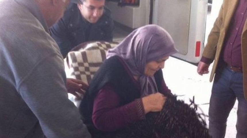 Niğde&rsquo;de 184 Hasta Sandık Başına Taşıdı