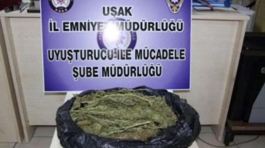 Yolcunun &Ccedil;antasından 830 Gram Esrar &Ccedil;ıktı