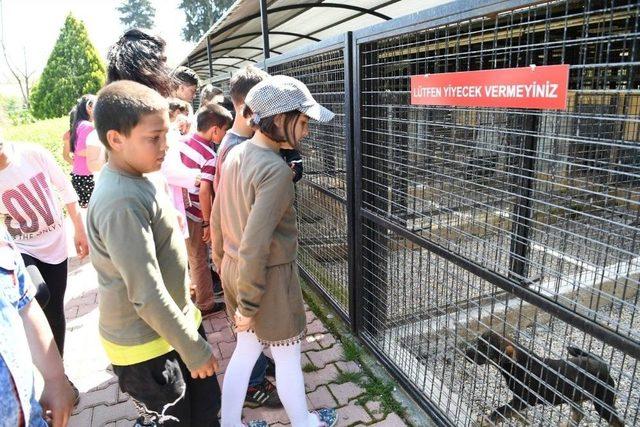 Konyaaltı Belediyesi Hayvan Barınağı 3 Ayda 450 Öğrenci Ağırladı