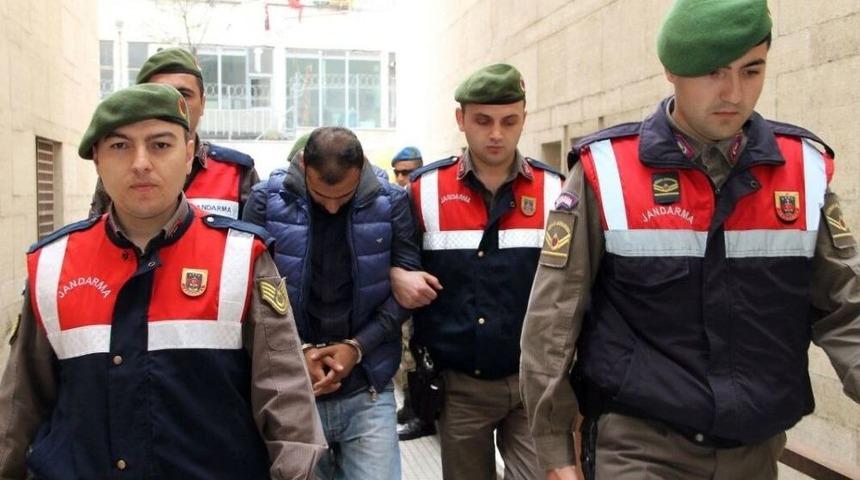 &Ouml;ld&uuml;r&uuml;p Toprağa G&ouml;mm&uuml;şler