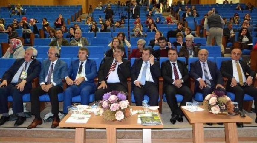 Fahrettin Ulu: T&uuml;rkiye Pek &Ccedil;ok Bitkinin Gen Merkezi