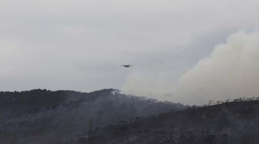 Fo&ccedil;a'da Yangın (2)
