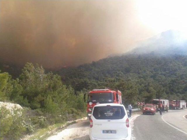 Foça'da Yangın (2)