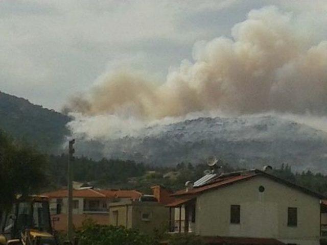 Foça'da Yangın (2)