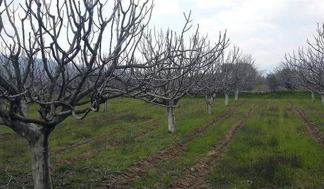 Aktaş; “aydın’daki Mera Alanları Daha Aktif Kullanılmalı”