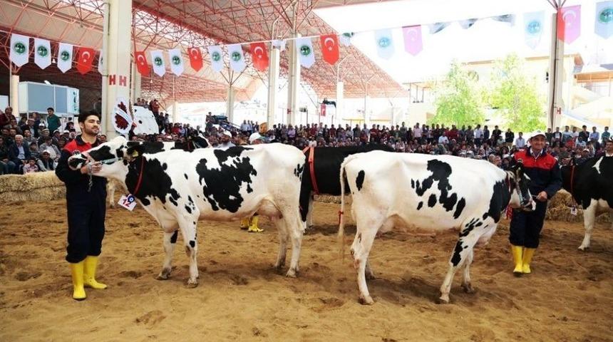 Teke Y&ouml;resi 3. Tarım Ve Hayvancılık Fuarı