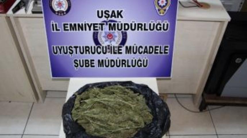 Uşak&rsquo;ta Uyuşturucu Operasyonu