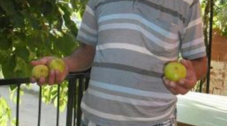 Motosikletten D&uuml;şen İki &Ccedil;ocuk Babası Hayatını Kaybetti