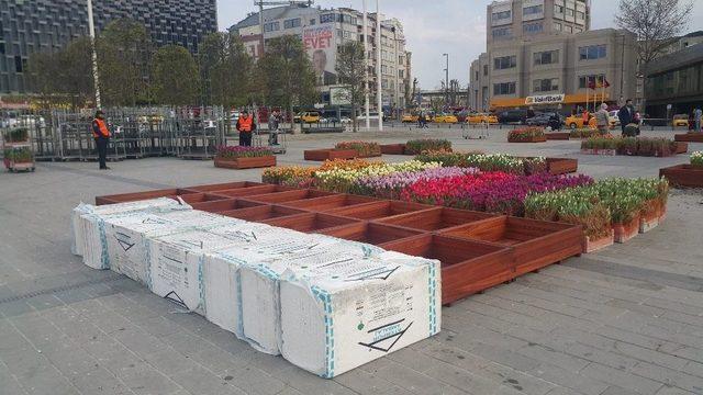 Taksim Meydanı Lalelerle Süslendi