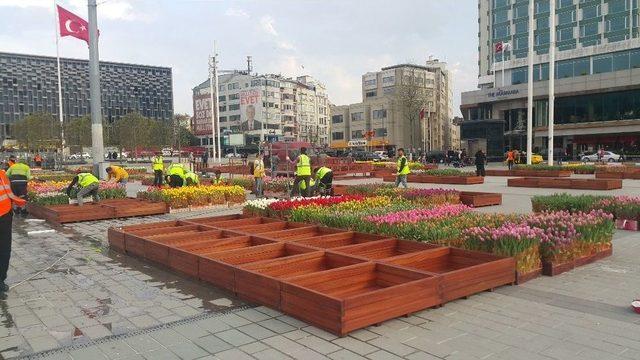 Taksim Meydanı Lalelerle Süslendi