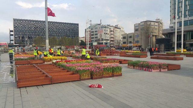 Taksim Meydanı Lalelerle Süslendi