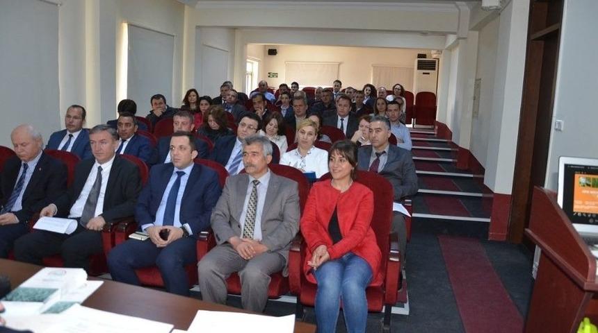 S&uuml;neyle M&uuml;cadele &Ccedil;alışmaları