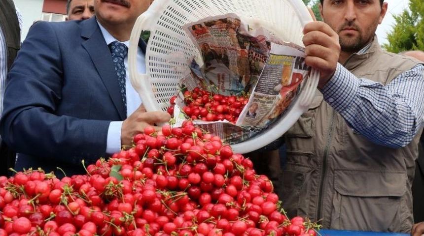 Sezonun İlk Kirazı Pazara &Ccedil;ıktı