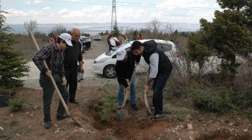 &Ouml;zel &Uuml;mit Hastaneleri&rsquo;nden Yeşile Katkı