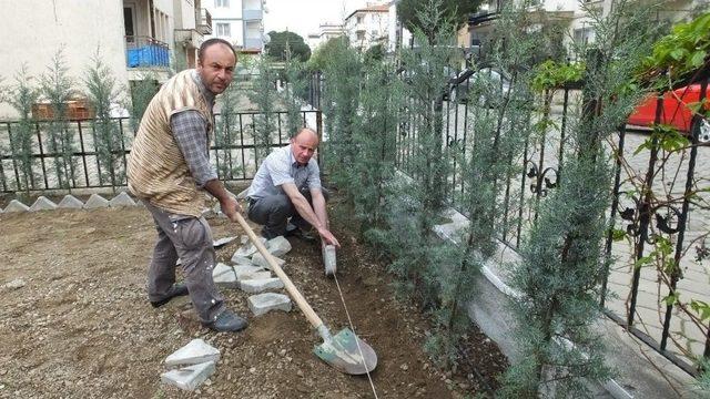 Burhaniye’de, Tarım Çalışanlarının Yeşillendirme İmecesi