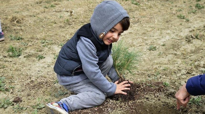 Y&uuml;zlerce Fidan Toprakla Buluştu