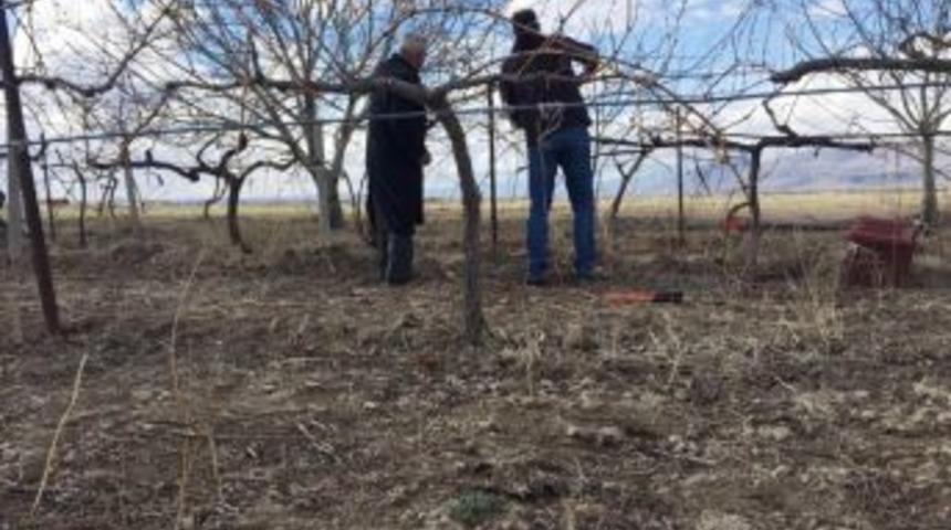 Bağcılıkta Arazi &Ccedil;alışmaları Devam Ediyor