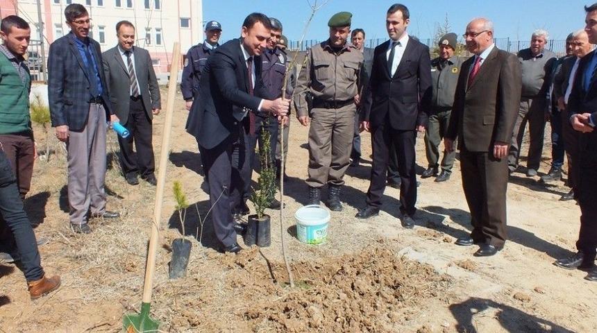 Aslanapa&rsquo;da 600 Fidan Toprakla Buluştu