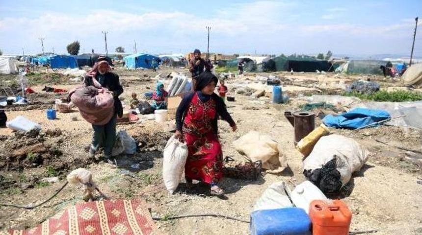 Mahalleli Ile Kavga Eden Suriyeliler Tahliye Ediliyor