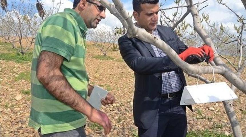 Dal G&uuml;vesine Karşı Bioteknik M&uuml;cadele