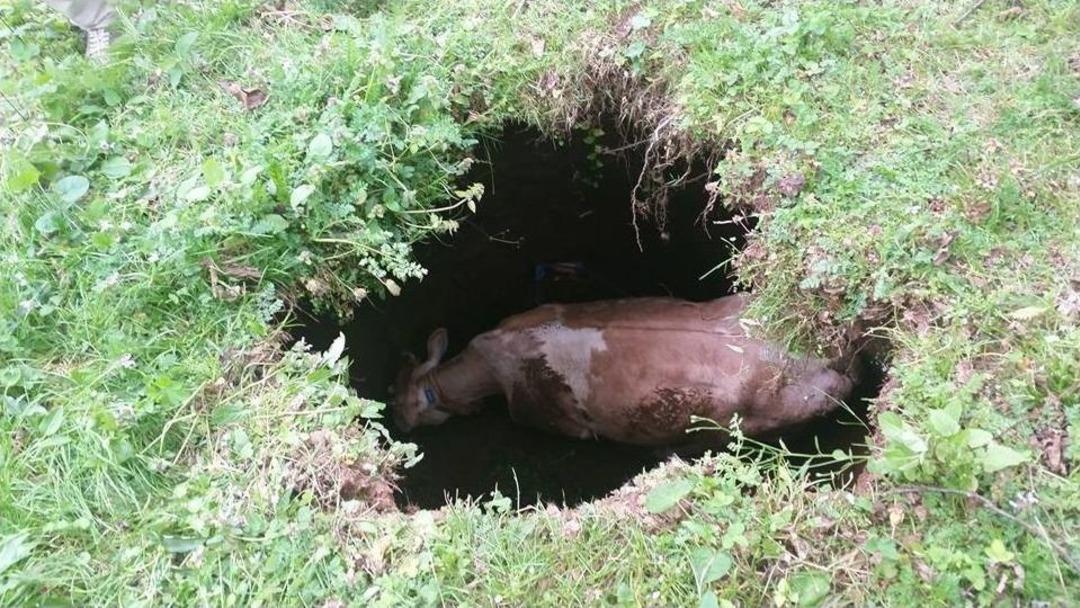 K&ouml;yl&uuml;ler &lsquo;&ccedil;i&ccedil;ek&rsquo; İ&ccedil;in Seferber Oldu