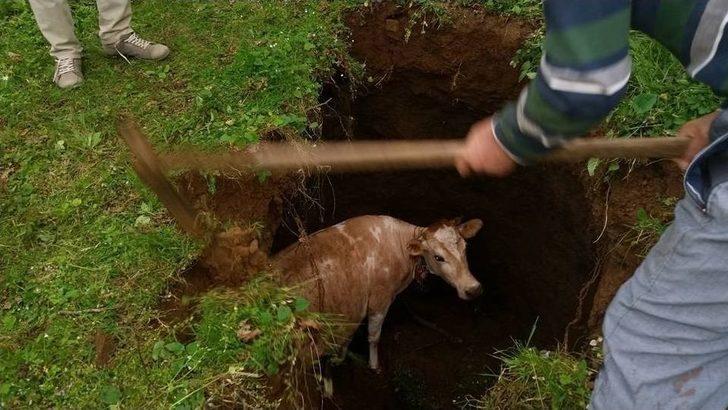 Köylüler ‘çiçek’ İçin Seferber Oldu G1