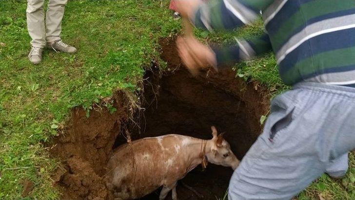 Köylüler ‘çiçek’ İçin Seferber Oldu G2