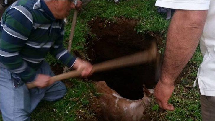 Köylüler ‘çiçek’ İçin Seferber Oldu G5