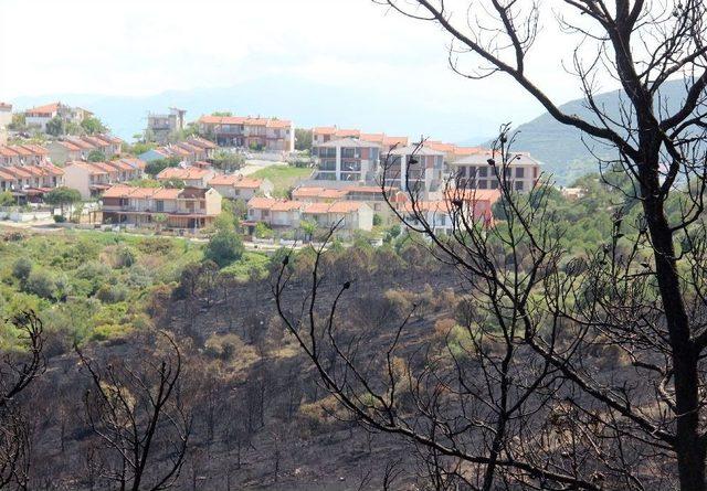 80 Hektara Zarar Veren Yangında ’arıcı’ Şüphesi 1