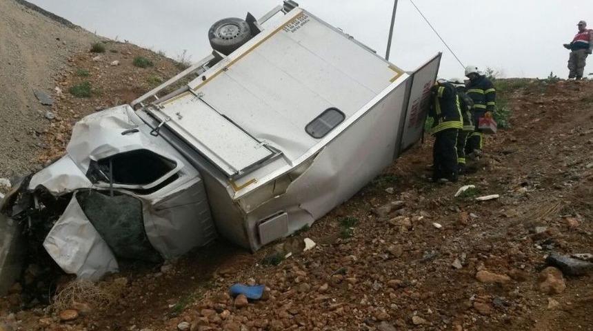 Yarış Atı Taşıyan Kamyonet Devrildi