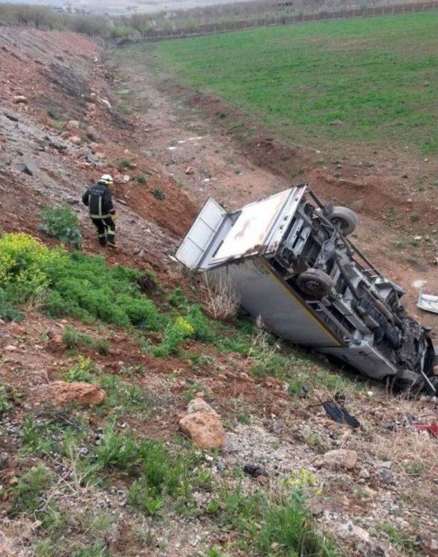 Yarış Atı Taşıyan Kamyonet Devrildi