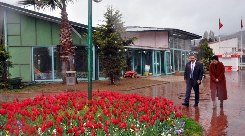 Uysal Sosyal Tesisin Adını Halka Soracak