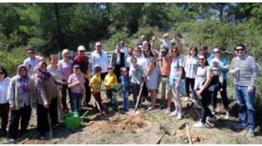 İnci Holding Kurucusu Cevdet İnci Anısına 89 Bin Fidan