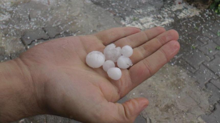Fındık B&uuml;y&uuml;kl&uuml;ğ&uuml;nde Dolu Hayatı Olumsuz Etkiledi