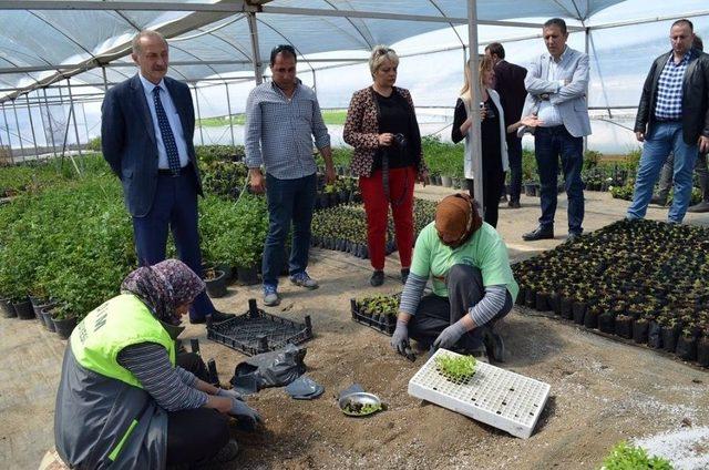 Başkan Atabay, Sera Ve Sabun Atölyesinin Son Durumu Yerinde Gördü