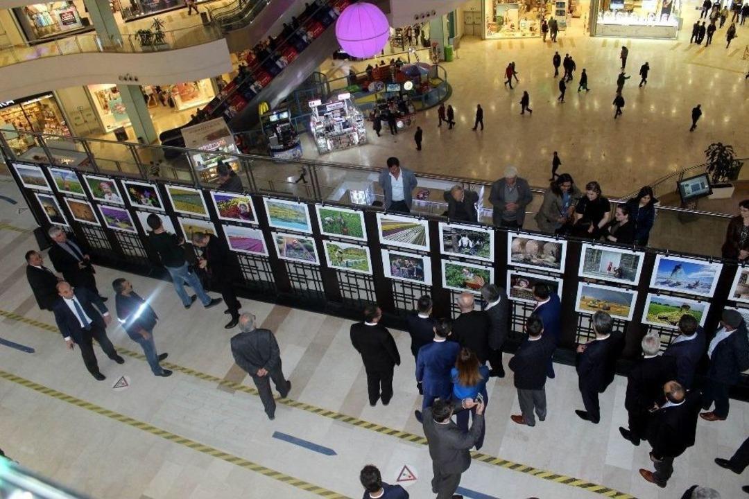 8. Tarım Ve İnsan Ulusal Fotoğraf Sergisi A&ccedil;ıldı