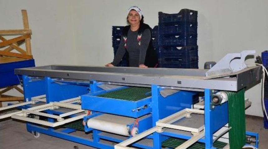 Şehirden K&ouml;ye Ka&ccedil;tı, Kendi Markasını Yarattı