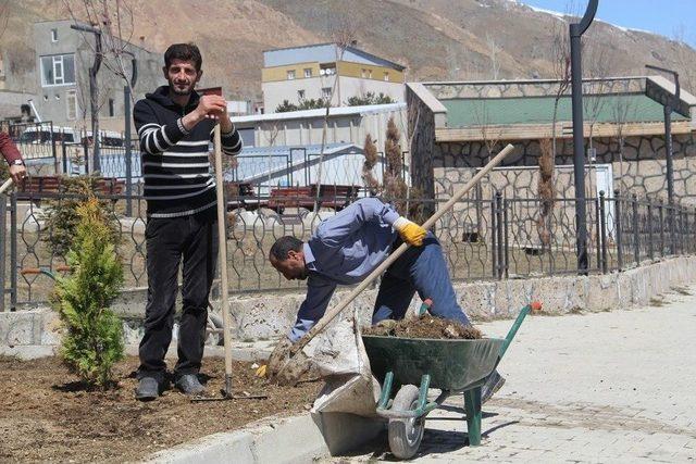 Başkale’deki Parklarda Düzenleme Çalışması 1