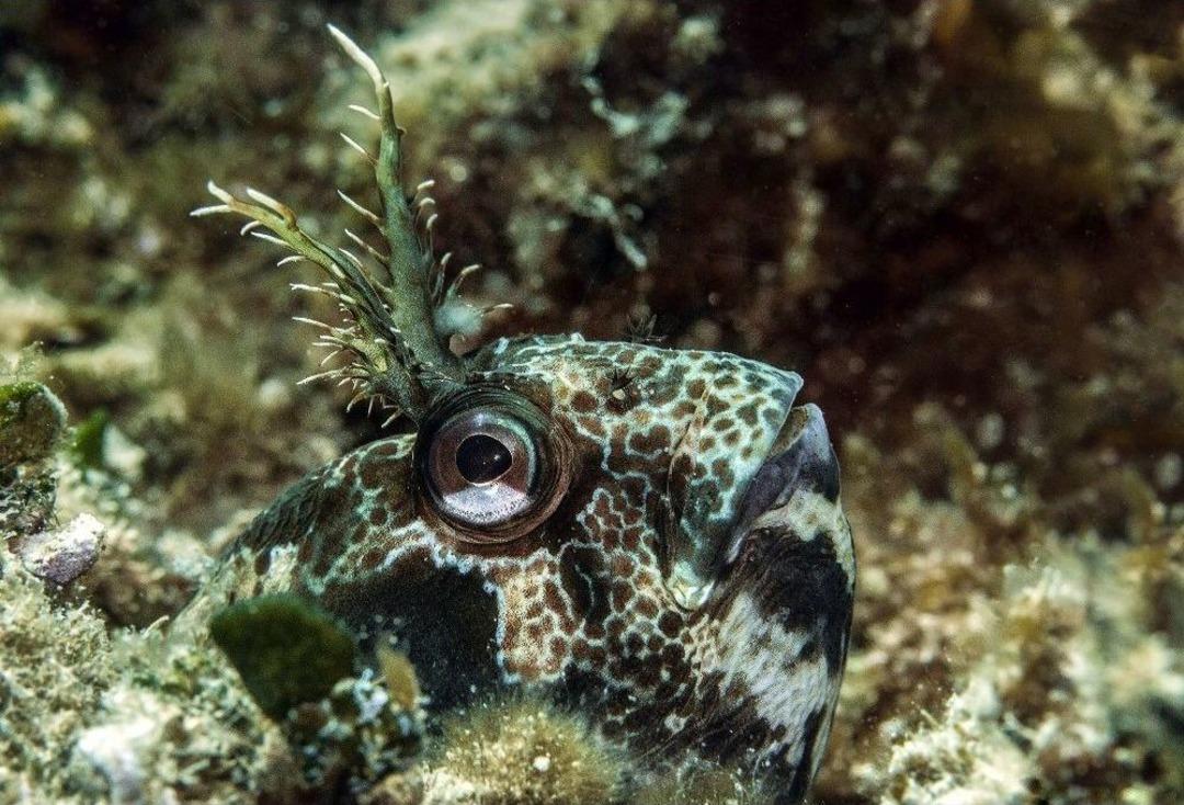 İzmir K&ouml;rfezi Rengarenk