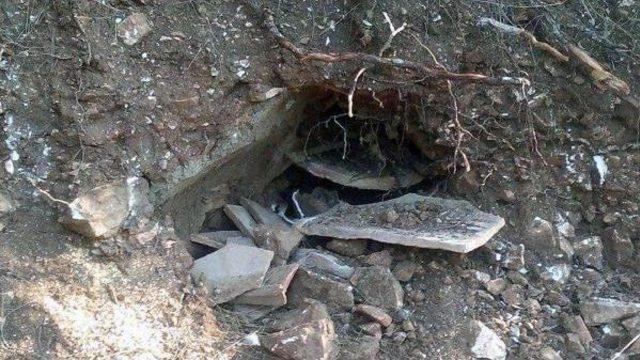 Ekosistemi Tehdit Eden Hes e Dava 1