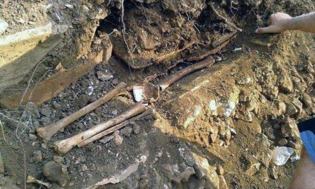 Ekosistemi Tehdit Eden Hes e Dava 2