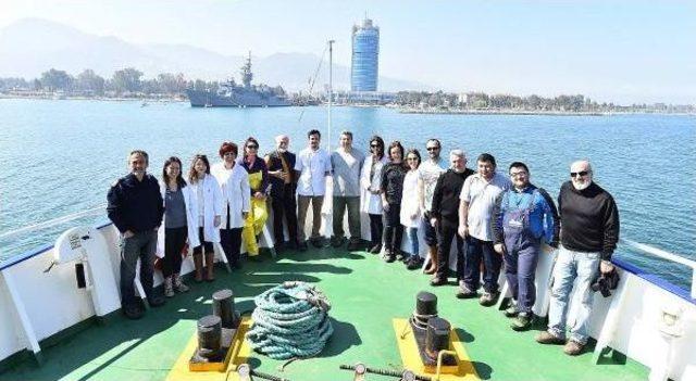 İzmir Körfezi'ndeki Iyileşme Sürüyor