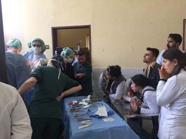 İngiliz Yarış Atına Veteriner Fak&uuml;ltesi&rsquo;Nde Başarılı Operasyon 2