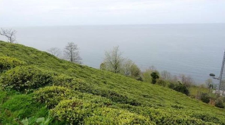 Rize-Artvin Havalimanı Deniz Dolgusu I&ccedil;in 88.5 Milyon Ton Taşın Alınacağı Alanlar Belirlendi