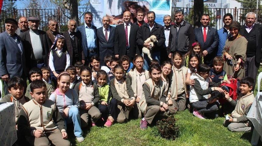 &lsquo;minik Dostlarımızla Birlikte Yaşayalım&rsquo; Projesi Başladı