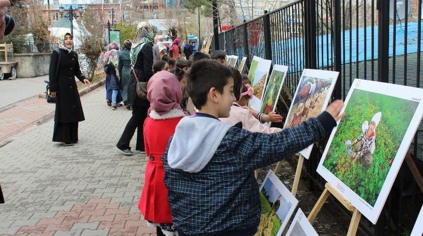 Bing&ouml;l&rsquo;de &rsquo;tarım Ve İnsan&rsquo; Konulu Fotoğraf Sergisi