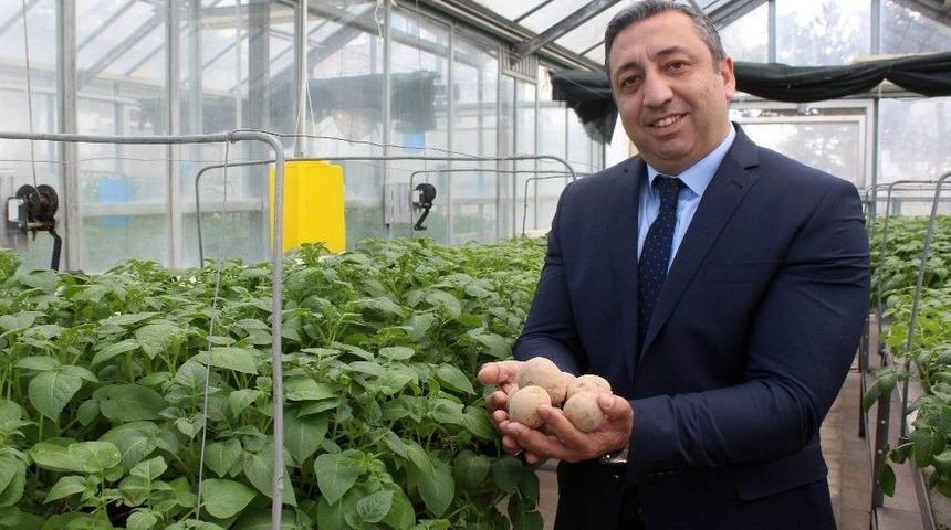 Pırlak: "yerli Patates Tohumları &Ccedil;ift&ccedil;inin Maliyetini Aşağı D&uuml;ş&uuml;recek"