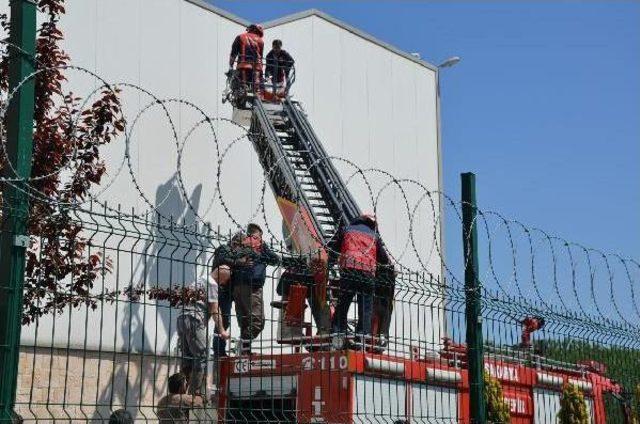 Çalıştığı Fabrikanın Çatısına Çıkıp Intihara Kalkıştı