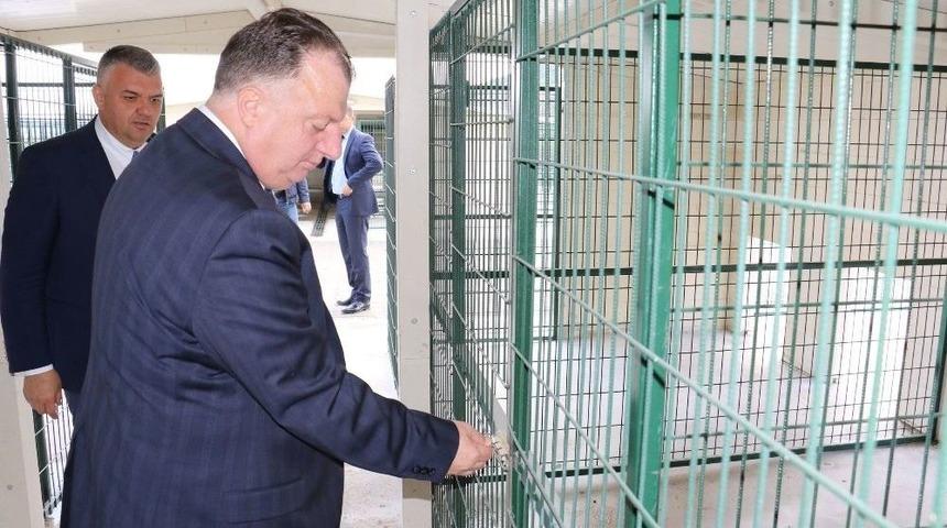 Hayvan Barınağı Tamamlanmak &Uuml;zere