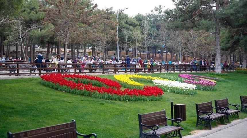 D&uuml;l&uuml;k, Lalelerle Bir Başka G&uuml;zel